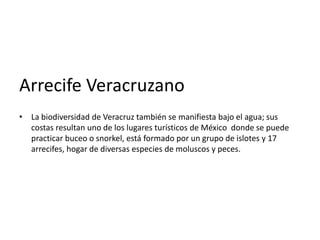 Arrecife Veracruzano
• La biodiversidad de Veracruz también se manifiesta bajo el agua; sus
costas resultan uno de los lugares turísticos de México donde se puede
practicar buceo o snorkel, está formado por un grupo de islotes y 17
arrecifes, hogar de diversas especies de moluscos y peces.
 