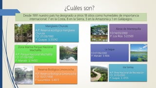 Manglares Churute
A.P: Reserva ecológica manglares
Churute
F.D: 07/09/1990
P: Guayas S:35042
Zona Marina Parque Nacional
Machalilla
A.P: Parque Nacional Machalilla
F.D: 07/09/1990
P: Manabí S:14430
Reserva Biológica Limoncocha
A.P: Reserva Biológica Limoncocha
F.D: 10/07/1998
P:Sucumbíos S:4613
Abras de Mantequilla
F.D:14/03/2000
P: Los Ríos S:22500
La Segua
F.D:07/06/2000
P: Manabí S:1836
Isla Santay
A.P: Área Nacional de Recreación
F.D: 31/10/2000
P: Guayas S: 4705
¿Cuáles son?
Desde 1991 nuestro país ha designado a otros 18 sitios como humedales de importancia
internacional: 7 en la Costa, 8 en la Sierra, 3 en la Amazonía y 1 en Galápagos.
 