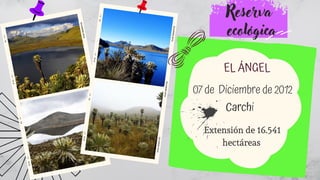 Extensión de 16.541
hectáreas


Reserva
ecológica
EL ÁNGEL
07 de Diciembre de 2012
Carchi
 