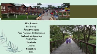 Sitio Ramsar
Isla Santay
Área Protegida
Área Nacional de Recreación
Fecha de designación
31/10/2000
Provincia
Guayas
Superficie
4705
 