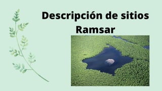 Descripción de sitios
Ramsar
 