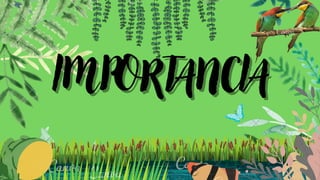 IMPORTANCIA
IMPORTANCIA
 