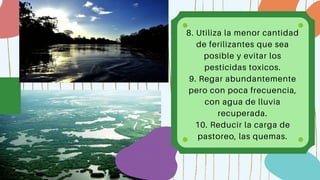 8. Utiliza la menor cantidad
de ferilizantes que sea
posible y evitar los
pesticidas toxicos.
9. Regar abundantemente
pero con poca frecuencia,
con agua de lluvia
recuperada.
10. Reducir la carga de
pastoreo, las quemas.


 