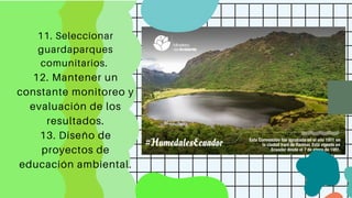 11. Seleccionar
guardaparques
comunitarios.
12. Mantener un
constante monitoreo y
evaluación de los
resultados.
13. Diseño de
proyectos de
educación ambiental.
 