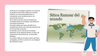 El 35% de los humedales existentes en el planeta
se perdieron entre 1970 y 2015 por el cambio
climático, el crecimiento poblacional, la
urbanización y las modificaciones en los
patrones de consumo.
Así lo indica el primer informe Perspectivas
mundiales sobre los humedales, que elaboró la
Convención de Ramsar.
El estudio señala que menos del 20% de la
totalidad está dentro de la lista de protección de
la mencionada convención
En Ecuador, de los más de 143 humedales
existentes, 19 son espacios Ramsar, es decir, de
importancia internacional, por su diversidad
biológica.
Las cuales el 86% se encuentra dentro de áreas
protegidas y el 14% no cuenta con una categoría
de protección oficial.
 
