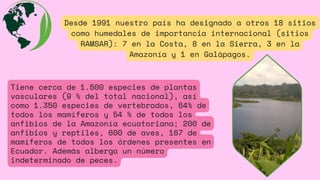 Tiene cerca de 1.500 especies de plantas
vasculares (9 % del total nacional), así
como 1.350 especies de vertebrados, 64% de
todos los mamíferos y 54 % de todos los
anfibios de la Amazonía ecuatoriana; 200 de
anfibios y reptiles, 600 de aves, 167 de
mamíferos de todos los órdenes presentes en
Ecuador. Además alberga un número
indeterminado de peces.
Desde 1991 nuestro país ha designado a otros 18 sitios
como humedales de importancia internacional (sitios
RAMSAR): 7 en la Costa, 8 en la Sierra, 3 en la
Amazonía y 1 en Galápagos.
 