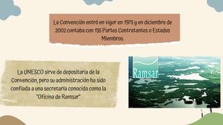 La Convención entró en vigor en 1975 y en diciembre de

2002 contaba con 135 Partes Contratantes o Estados

Miembros.
La UNESCO sirve de depositaria de la

Convención, pero su administración ha sido

confiada a una secretaría conocida como la

"Oficina de Ramsar"
 