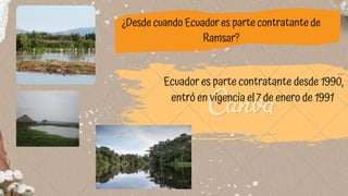 ¿Desde cuando Ecuador es parte contratante de

Ramsar?
Ecuador es parte contratante desde 1990,

entró en vigencia el 7 de enero de 1991




 