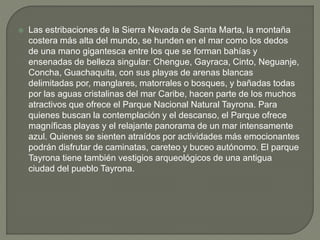  Las estribaciones de la Sierra Nevada de Santa Marta, la montaña
costera más alta del mundo, se hunden en el mar como los dedos
de una mano gigantesca entre los que se forman bahías y
ensenadas de belleza singular: Chengue, Gayraca, Cinto, Neguanje,
Concha, Guachaquita, con sus playas de arenas blancas
delimitadas por, manglares, matorrales o bosques, y bañadas todas
por las aguas cristalinas del mar Caribe, hacen parte de los muchos
atractivos que ofrece el Parque Nacional Natural Tayrona. Para
quienes buscan la contemplación y el descanso, el Parque ofrece
magníficas playas y el relajante panorama de un mar intensamente
azul. Quienes se sienten atraídos por actividades más emocionantes
podrán disfrutar de caminatas, careteo y buceo autónomo. El parque
Tayrona tiene también vestigios arqueológicos de una antigua
ciudad del pueblo Tayrona.
 