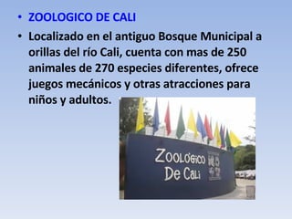 ZOOLOGICO DE CALI Localizado en el antiguo Bosque Municipal a orillas del río Cali, cuenta con mas de 250 animales de 270 especies diferentes, ofrece juegos mecánicos y otras atracciones para niños y adultos. 