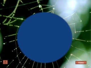 SITIOS TURISTICOS DE AMBATO   UTAVideo
 