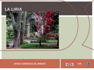 LA LIRIA




    SITIOS TURISTICOS DE AMBATO   UTA
 