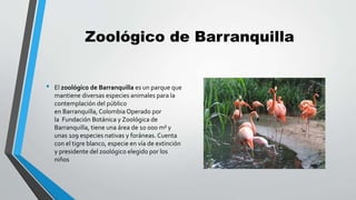 Zoológico de Barranquilla
• El zoológico de Barranquilla es un parque que
mantiene diversas especies animales para la
cont...
