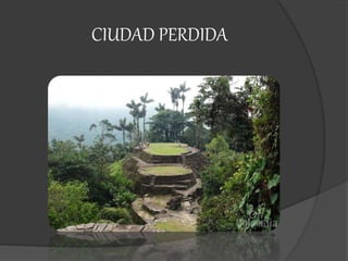 CIUDAD PERDIDA
 