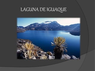 LAGUNA DE IGUAQUE
 