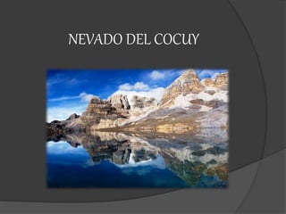 NEVADO DEL COCUY
 