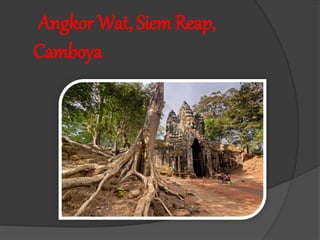 Angkor Wat, Siem Reap,
Camboya
 