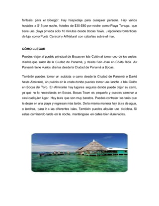 fantasía para el biólogo”. Hay hospedaje para cualquier persona. Hay varios
hostales a $15 por noche, hoteles de $30-$80 por noche como Playa Tortuga, que
tiene una playa privada solo 10 minutos desde Bocas Town, u opciones románticas
de lujo como Punta Caracol y Al Natural con cabañas sobre el mar.
CÓMO LLEGAR
Puedes viajar al pueblo principal de Bocas en Isla Colón al tomar uno de los vuelos
diarios que salen de la Ciudad de Panamá, y desde San José en Costa Rica. Air
Panamá tiene vuelos diarios desde la Ciudad de Panamá a Bocas.
También puedes tomar un autobús o carro desde la Ciudad de Panamá o David
hasta Almirante, un pueblo en la costa donde puedes tomar una lancha a Isla Colón
en Bocas del Toro. En Almirante hay lugares seguros donde puede dejar su carro,
ya que no lo necesitarás en Bocas. Bocas Town es pequeño y puedes caminar a
casi cualquier lugar. Hay taxis que son muy baratos. Puedes contratar los taxis que
te dejan en una playa y regresan más tarde. De la misma manera hay taxis de agua,
o lanchas, para ir a las diferentes islas. También puedes alquilar una bicicleta. Si
estas caminando tarde en la noche, manténgase en calles bien iluminadas.
 