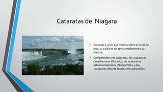 Cataratas de Niagara


          •   Situadas a unos 236 metros sobre el nivel del
              mar, su caída es de aproximadamente 52
              metros.
          •   Comprenden tres cataratas: las «cataratas
              canadienses» (Ontario), las «cataratas
              estadounidenses» (Nueva York), y las
              «cataratas Velo de Novia» más pequeñas
 