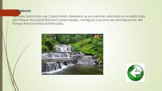  TERMALES
Termales Santa Rosa de Cabal Hotel y Balneario se encuentran ubicados en la parte baja
del Parque Municipal Natural Campo Alegre, contiguos a la zona de amortiguación del
Parque Nacional Natural Nevados.
 