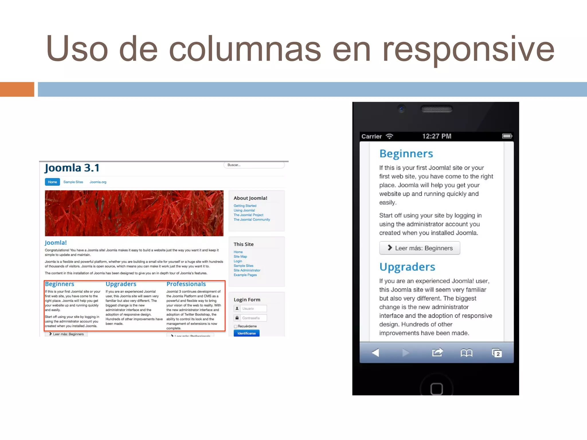 Uso de columnas en responsive
 