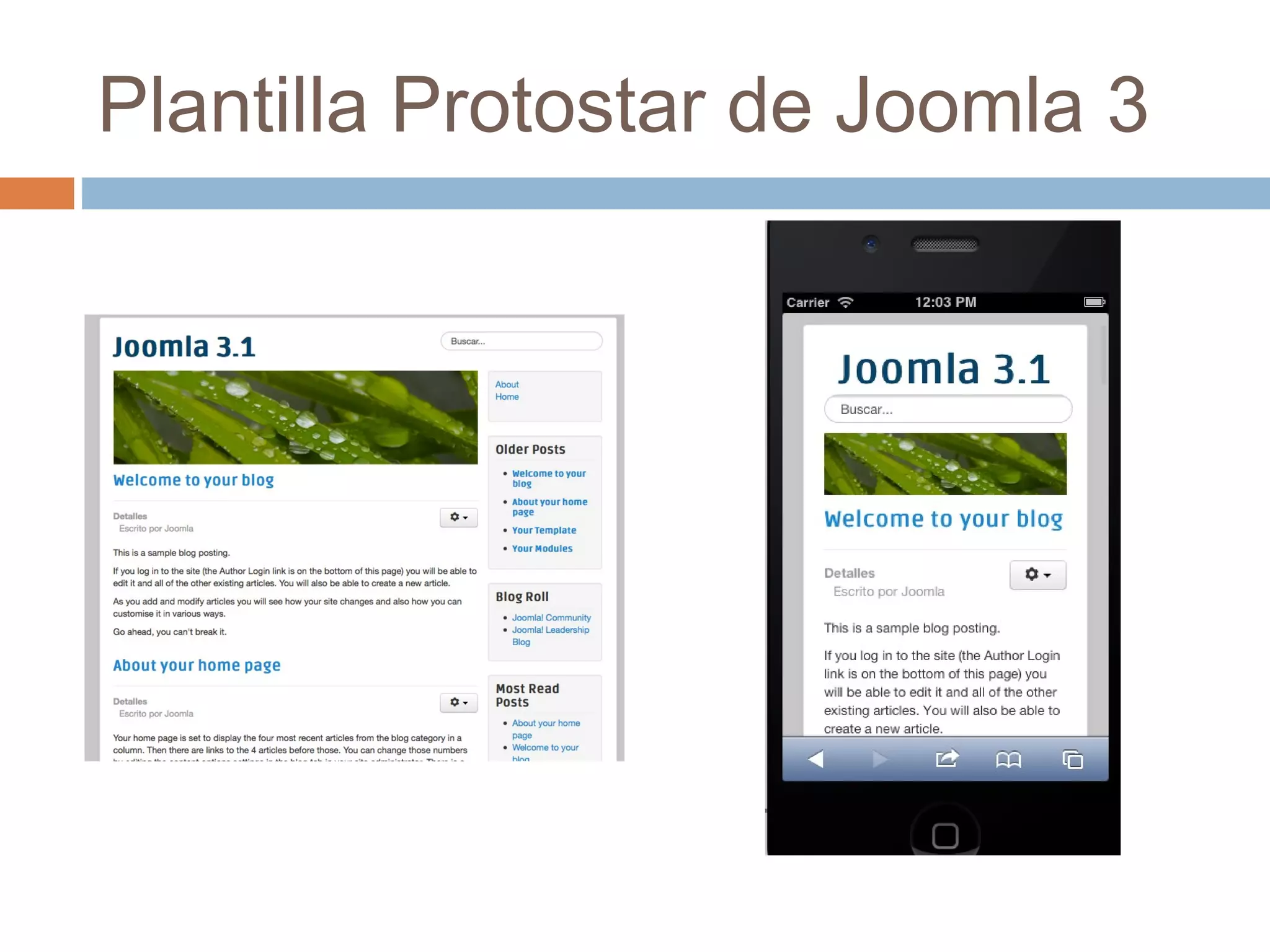 Plantilla Protostar de Joomla 3
 