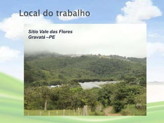 Sitio Vale das Flores
Gravatá –PE
 