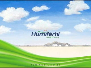 Sitio vale das flores.pptx