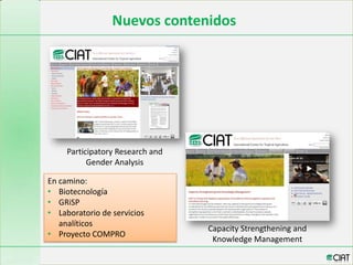 CIAT web en español:  un canal para acercarnos más a América Latina y  el Caribe