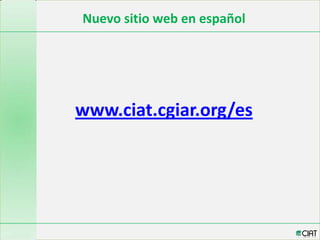 CIAT web en español:  un canal para acercarnos más a América Latina y  el Caribe