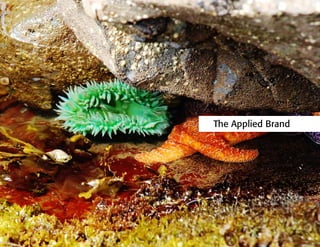 The Applied Brand
 