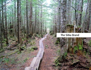 The Sitka Brand
Photo courtesy of
Tillamook Design,
all rights reserved
 