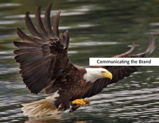 Photo courtesy of
Tillamook Design,
all rights reserved
Communicating the Brand
 