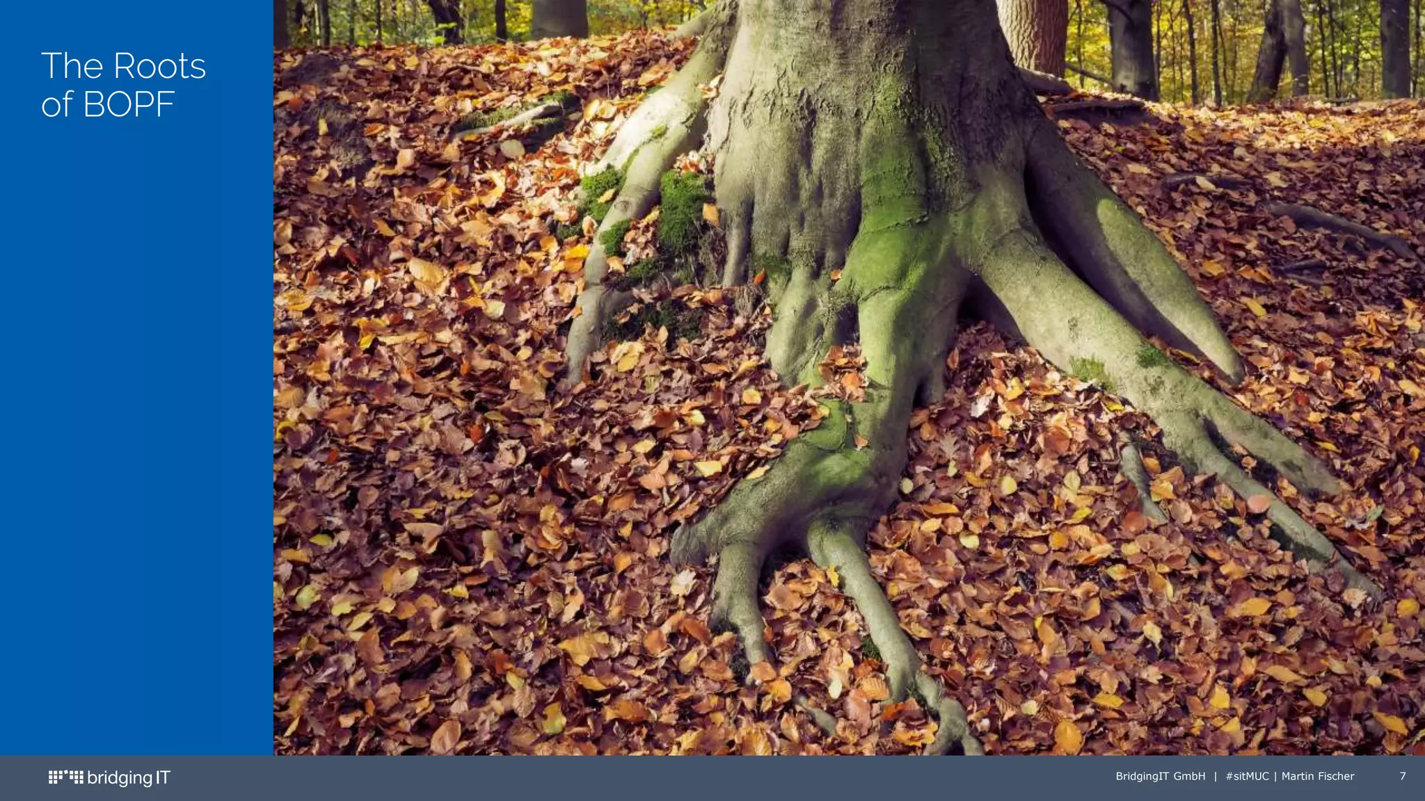 BridgingIT GmbH | #sitMUC | Martin Fischer 7
The Roots
of BOPF
 