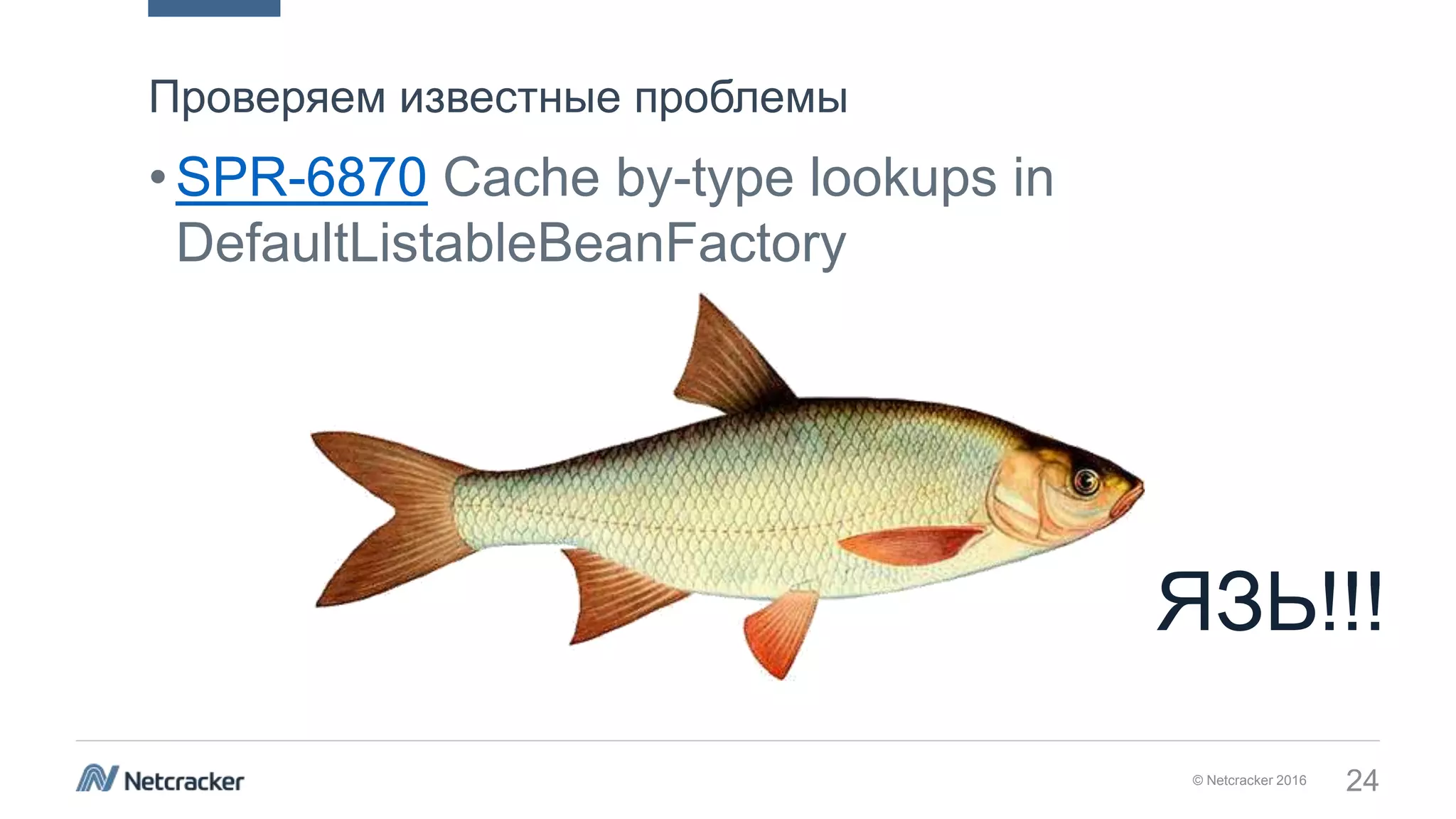 © Netcracker 2016 24
•SPR-6870 Cache by-type lookups in
DefaultListableBeanFactory
Проверяем известные проблемы
ЯЗЬ!!!
 