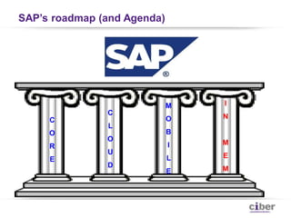SAP’s roadmap (and Agenda)




                             M   I
               C
                             O   N
     C
               L
     O                       B
               O
     R                       I   M
               U
     E                       L   E
               D
                             E   M
 