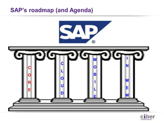 SAP’s roadmap (and Agenda)




                             M   I
               C
                             O   N
     C
               L
     O                       B
               O
     R                       I   M
               U
     E                       L   E
               D
                             E   M
 