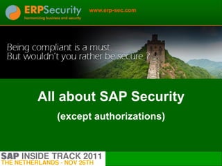 www.erp-sec.com




All about SAP Security
  (except authorizations)


                            1
 