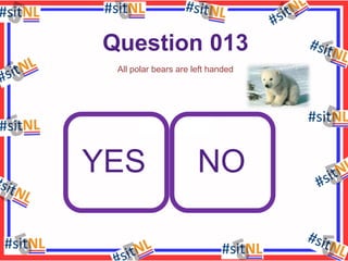 Question 013
All polar bears are left handed

YES

NO

 