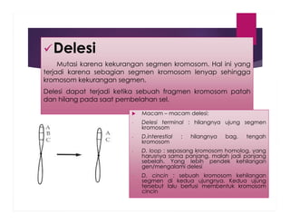 Sitogenetika PErtemuan ke 6-7 tentang struktur kromosom.pdf