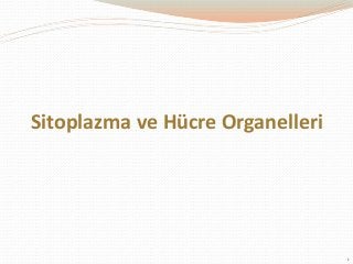 Sitoplazma ve Hücre Organelleri

1

 