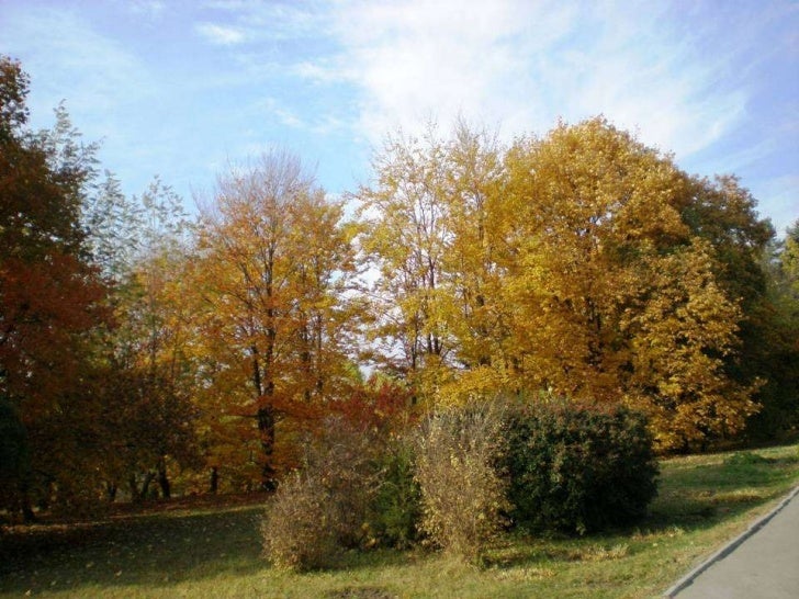 Si Totusi Vine Toamna Autumn Comes