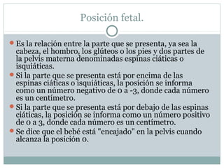Posición fetal.
Es la relación entre la parte que se presenta, ya sea la
cabeza, el hombro, los glúteos o los pies y dos partes de
la pelvis materna denominadas espinas ciáticas o
isquiáticas.
Si la parte que se presenta está por encima de las
espinas ciáticas o isquiáticas, la posición se informa
como un número negativo de 0 a -3, donde cada número
es un centímetro.
Si la parte que se presenta está por debajo de las espinas
ciáticas, la posición se informa como un número positivo
de 0 a 3, donde cada número es un centímetro.
Se dice que el bebé está "encajado" en la pelvis cuando
alcanza la posición 0.
 