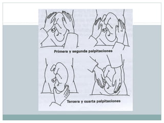 MANIOBRAS DE LEOPOLD