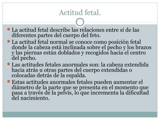 Actitud fetal.
La actitud fetal describe las relaciones entre sí de las
diferentes partes del cuerpo del feto.
La actitud fetal normal se conoce como posición fetal
donde la cabeza está inclinada sobre el pecho y los brazos
y las piernas están doblados y recogidos hacia el centro
del pecho.
Las actitudes fetales anormales son: la cabeza extendida
hacia atrás u otras partes del cuerpo extendidas o
colocadas detrás de la espalda.
Estas actitudes anormales fetales pueden aumentar el
diámetro de la parte que se presenta en el momento que
pasa a través de la pelvis, lo que incrementa la dificultad
del nacimiento.
 