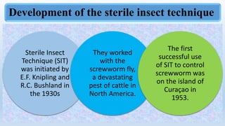 Sit Fly sit presentation.pptx