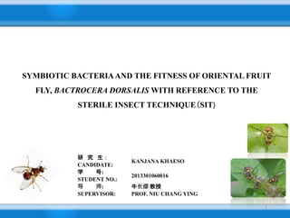 研 究 生：
CANDIDATE:
KANJANA KHAESO
学 号:
STUDENT NO.:
2013301060016
导 师:
SUPERVISOR:
牛长缨 教授
PROF. NIU CHANG YING
SYMBIOTIC BACTERIAAND THE FITNESS OF ORIENTAL FRUIT
FLY, BACTROCERA DORSALIS WITH REFERENCE TO THE
STERILE INSECT TECHNIQUE(SIT)
1
 