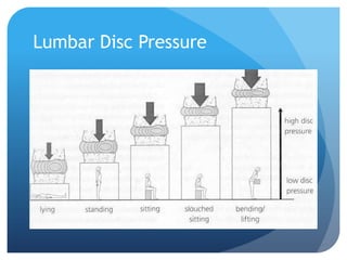 Lumbar Disc Pressure

 