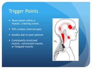 Trigger Points
 Taunt bands within a
muscle, creating a knot.
 TrPs creates referred pain.
 Usually due to poor posture
 Consistently stretched
muscle, contracted muscle,
or fatigued muscle.

 