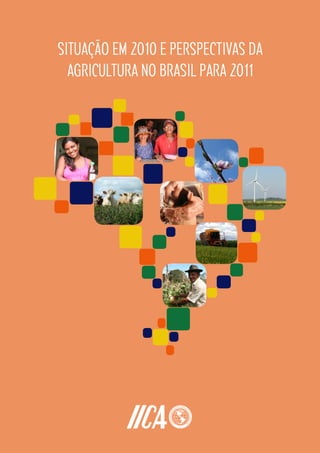 SITUAÇÃO EM 2010 E PERSPECTIVAS DA
AGRICULTURA NO BRASIL PARA 2011
 